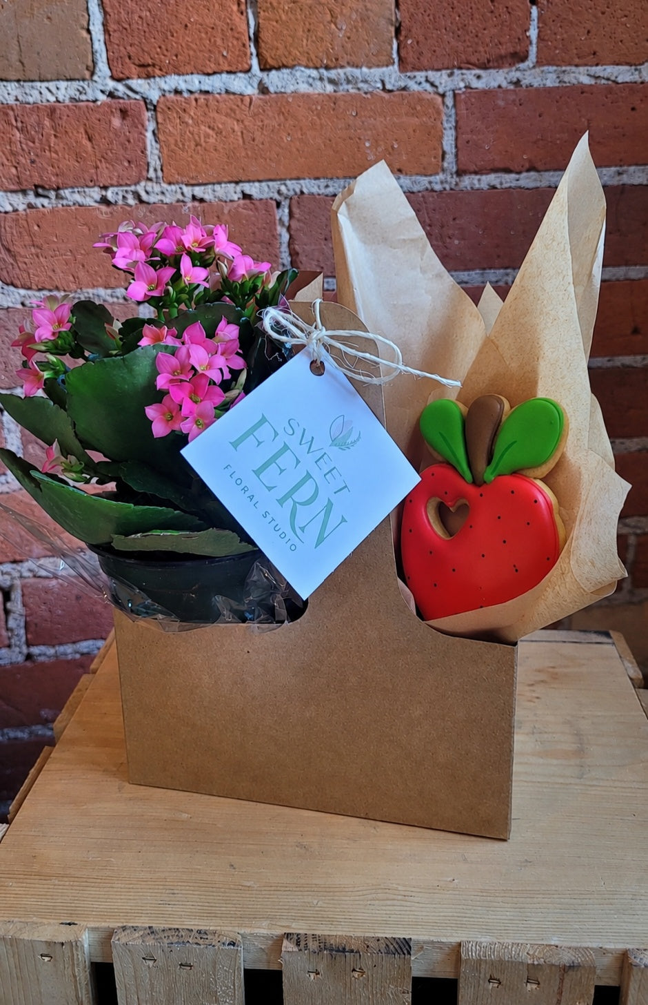 Kalanchoe and Cookie (Gift set)